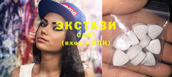 эйфоретик Гусь-Хрустальный