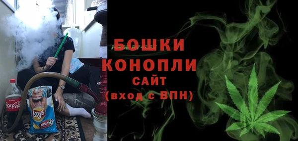 эйфоретик Гусь-Хрустальный