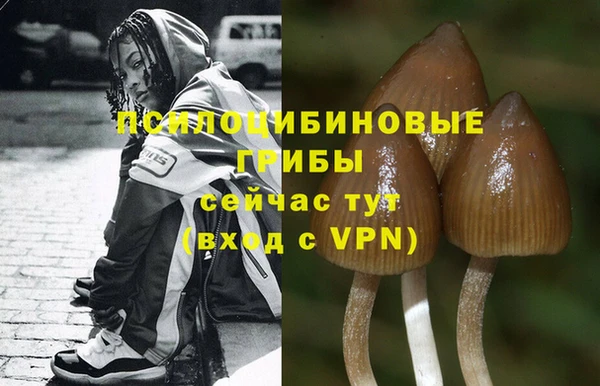 эйфоретик Гусь-Хрустальный