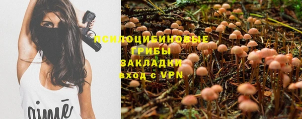 эйфоретик Гусь-Хрустальный