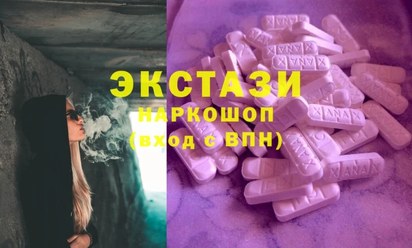 эйфоретик Гусь-Хрустальный