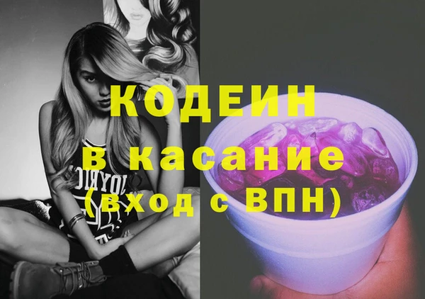 эйфоретик Гусь-Хрустальный