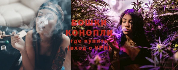 эйфоретик Гусь-Хрустальный