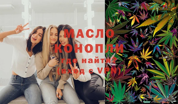 эйфоретик Гусь-Хрустальный